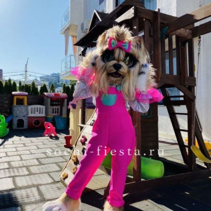 Аниматор Гламурная Собака в Смоленске