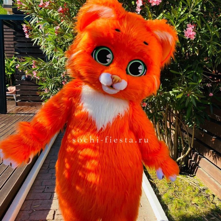 Аниматор Котик в Смоленске