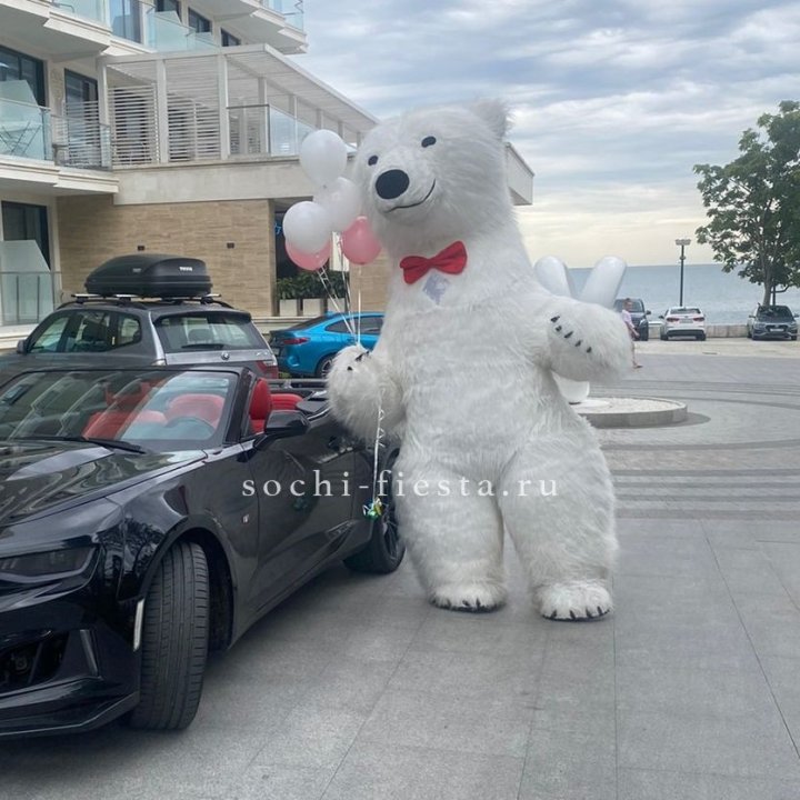 Аниматор Белый Медведь в Смоленске