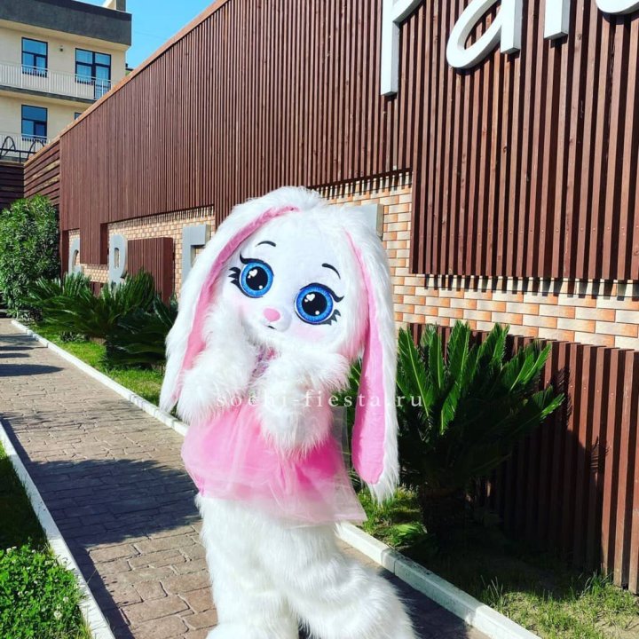 Аниматор Зайка в Смоленске