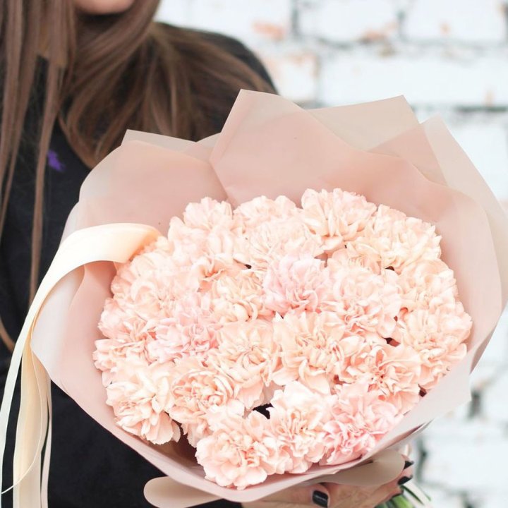 Диантусы №2 в Смоленске