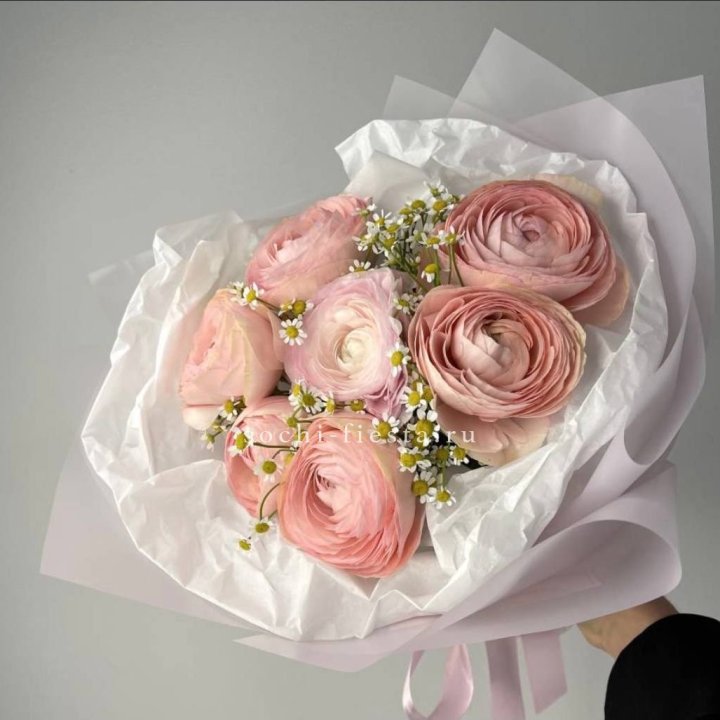 Ранункулюсы с ромашками в Смоленске