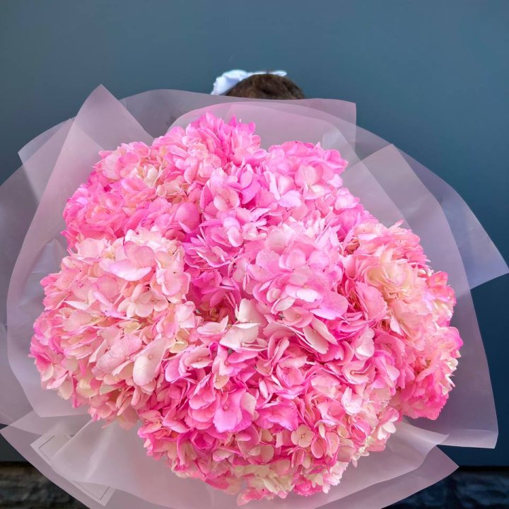 9 ярко розовых гортензий в Смоленске