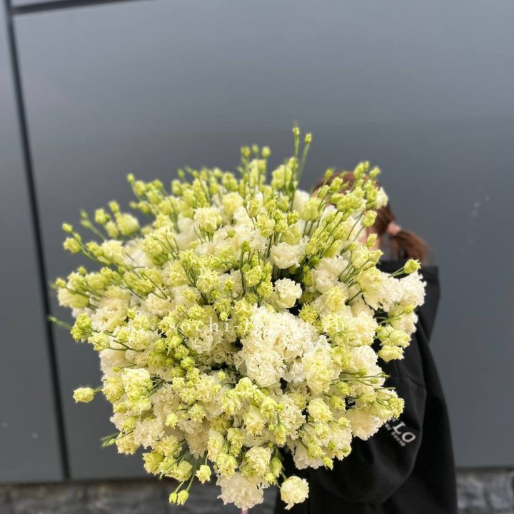 51 белая эустома в Смоленске