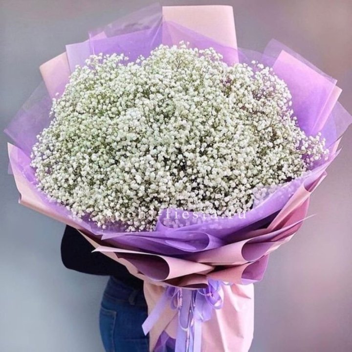 Облако белых гипсофил в Смоленске