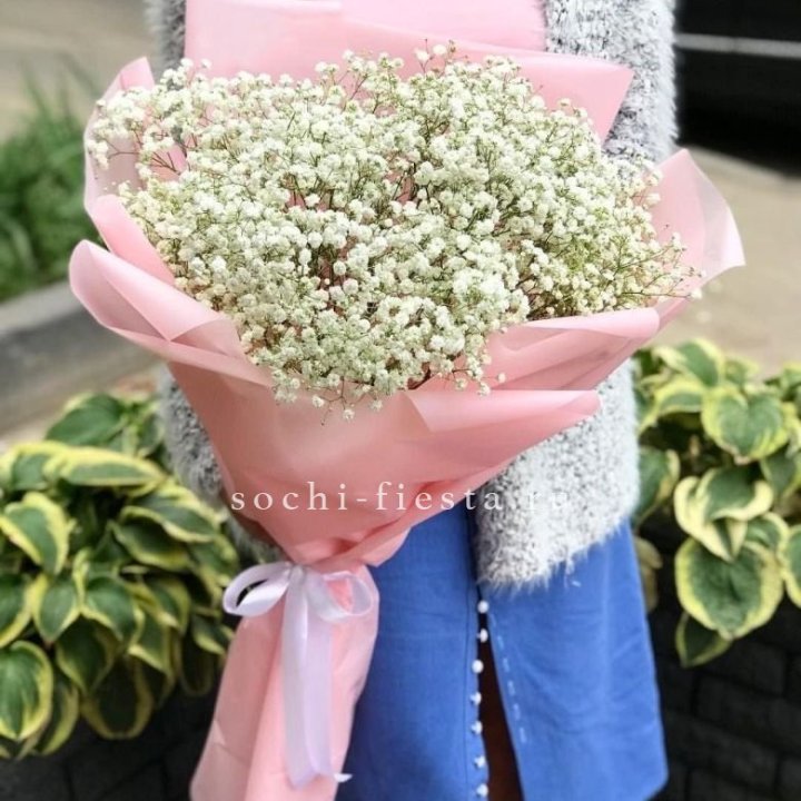 Белоснежные гипсофилы в Смоленске