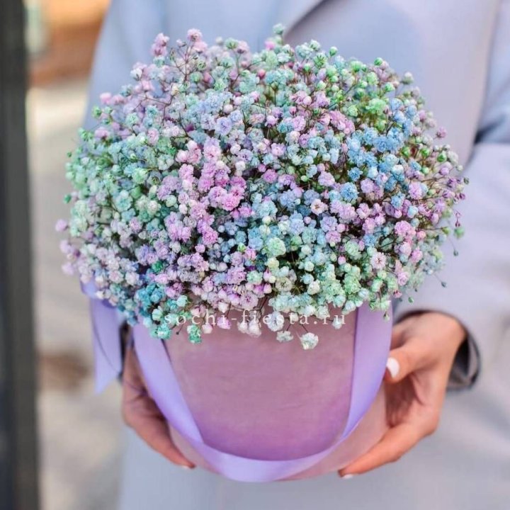 Гипсофилы в шляпной коробке "Кандилайт" в Смоленске