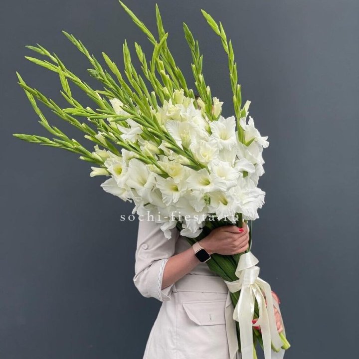 19 белых гладиолусов под ленту в Смоленске