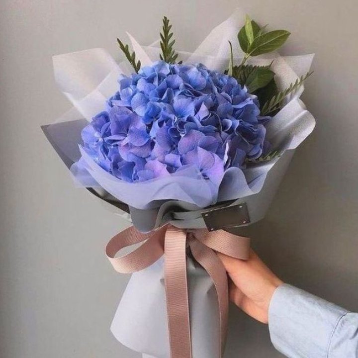 Гортензия голубая в Смоленске