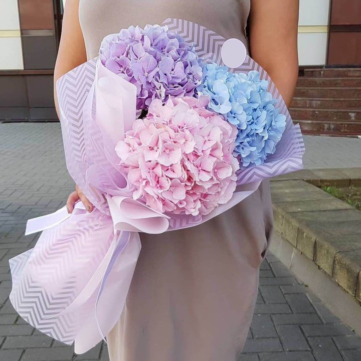 Букет гортензий "Пуф" в Смоленске