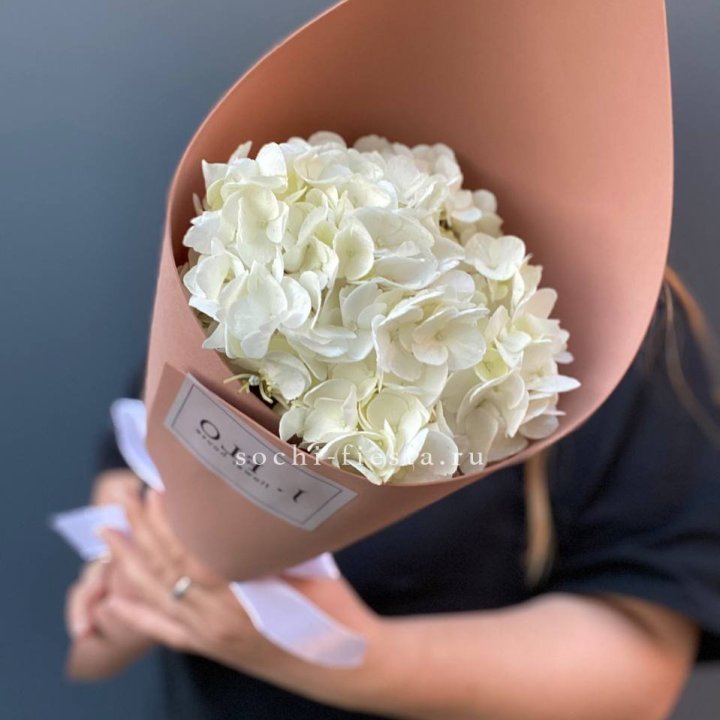 Гортензия в конверте в Смоленске