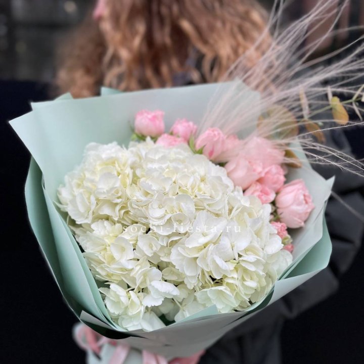 Гортензия "Жасмин" в Смоленске