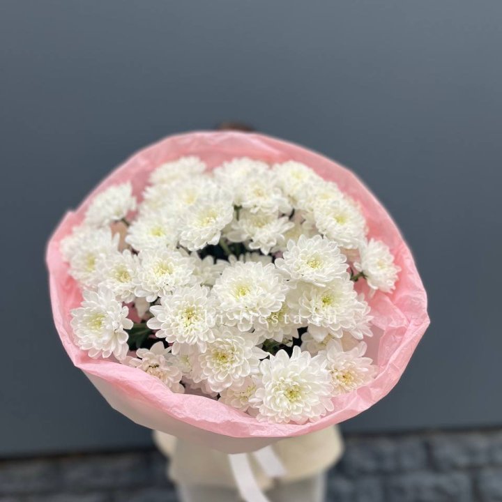  5 хризантем  в Смоленске