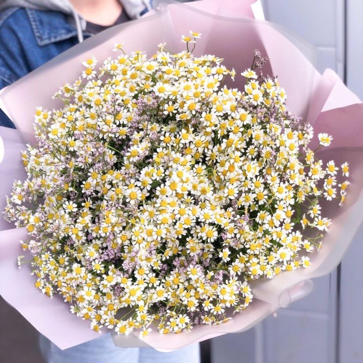 Букет ромашек №1 в Смоленске