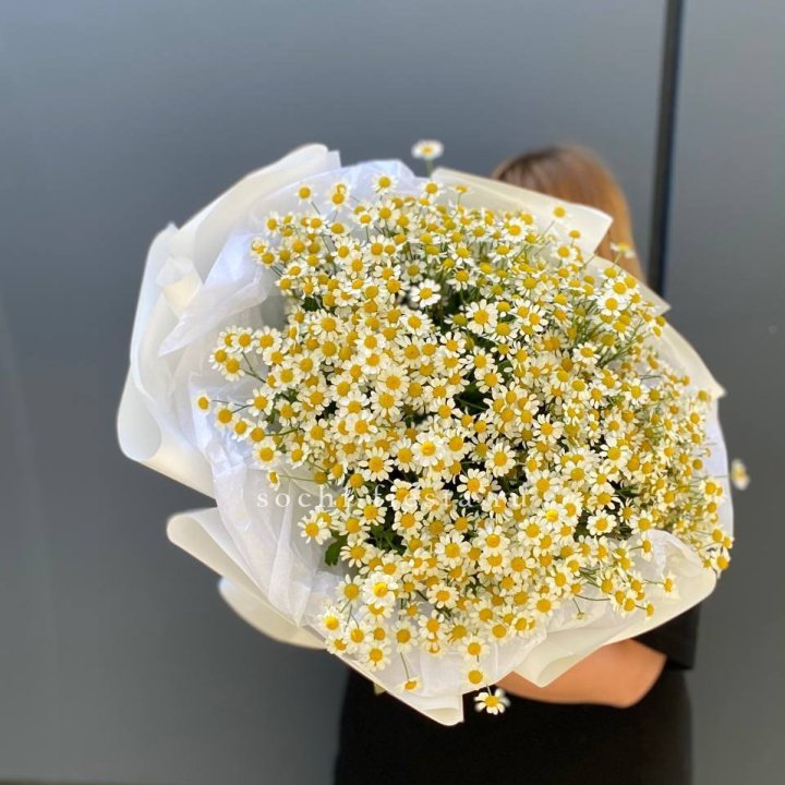 Букет ромашек "Фемели" в Смоленске