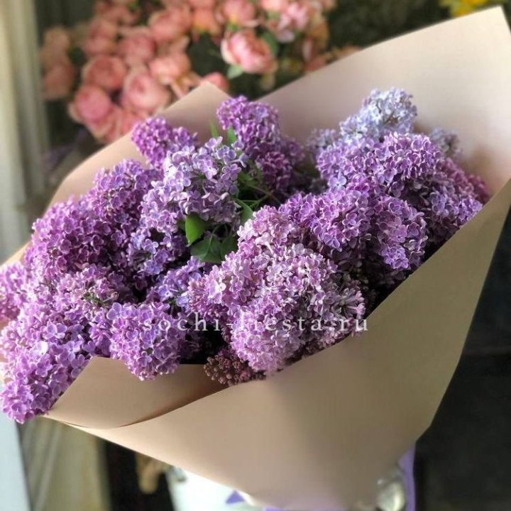 Букет сирени №2 в Смоленске