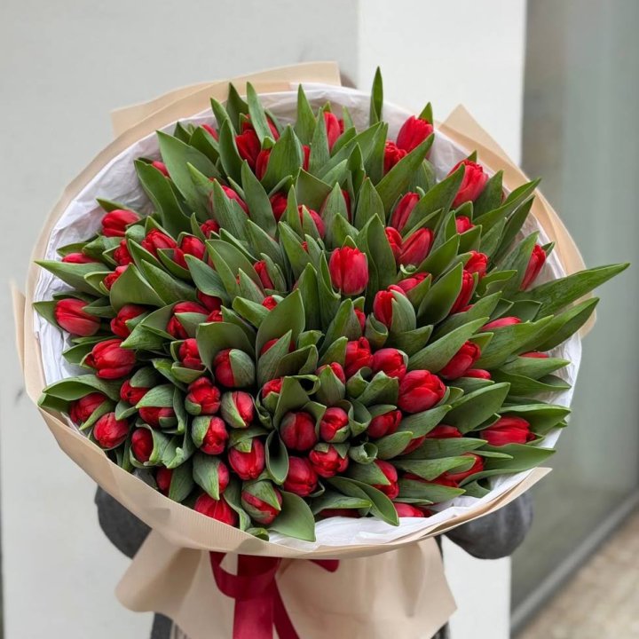 101 красный тюльпан в Смоленске