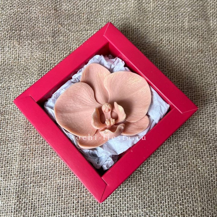 Бельгийский шоколад Орхидея в Смоленске