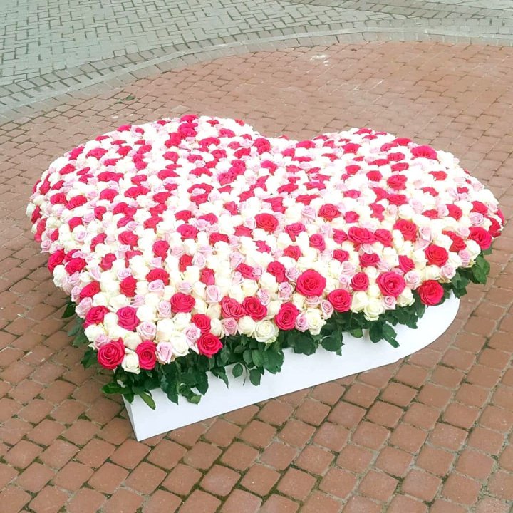 555 роза  в Смоленске