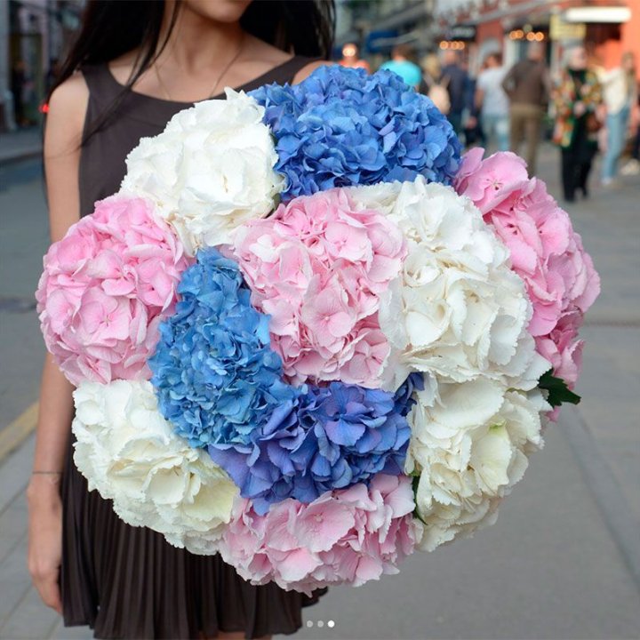 Букет гортензий "Инь-Янь" в Смоленске