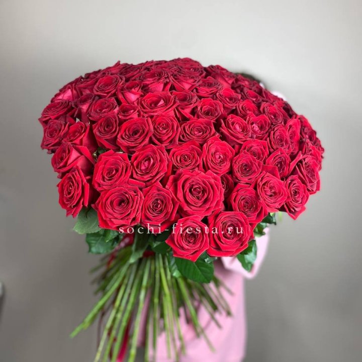 101  голландская роза  в Смоленске