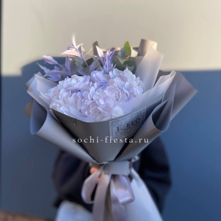 Гортензия "Виолета" в Смоленске