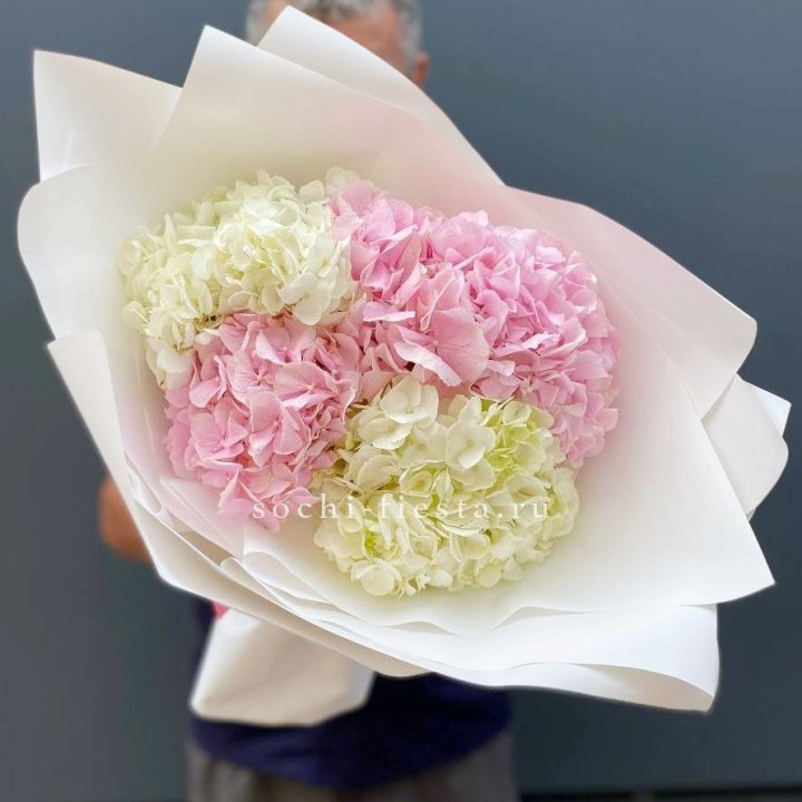 Букет гортензий №5 в Смоленске
