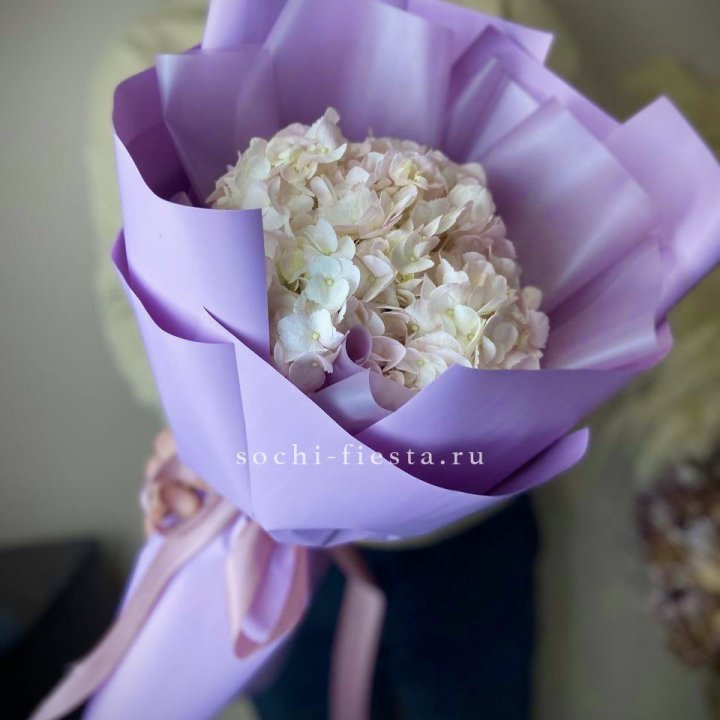 Гортензия розовая в Смоленске