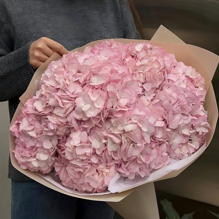 Гортензия  "РОЗЕ" в Смоленске