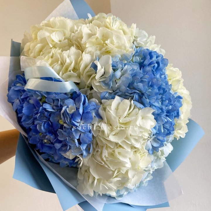 Букет гортензий "Голубая лаза" в Смоленске