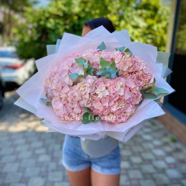 5 розовых гортензий  в Смоленске
