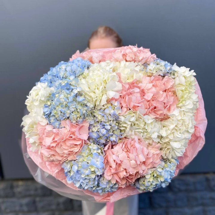 19 гортензий микс в Смоленске