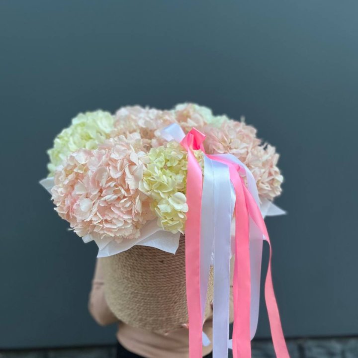 7 гортензий в кашпо в Смоленске