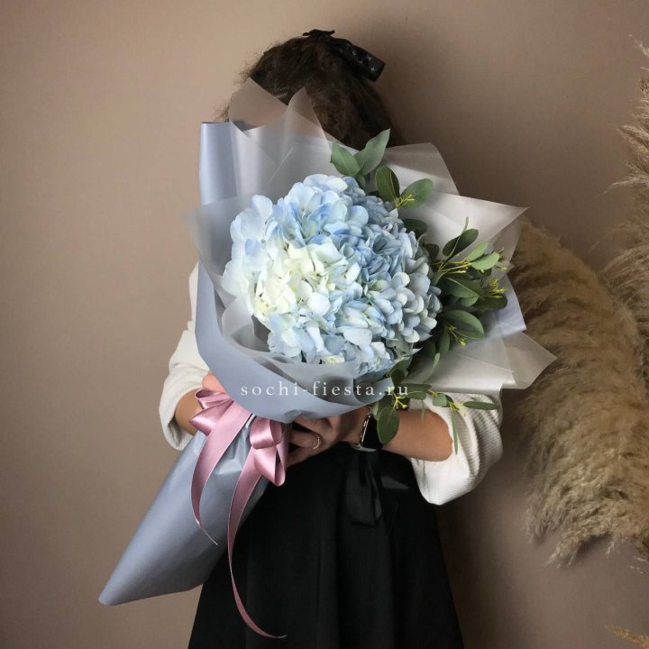 Гортензия Уно в Смоленске