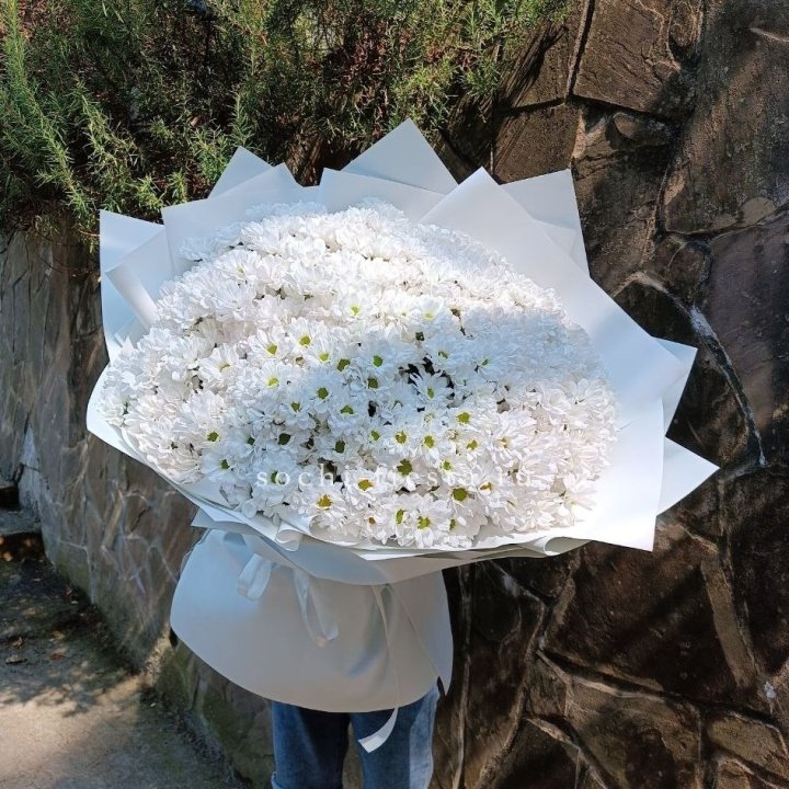 Облако хризантем №2 в Смоленске