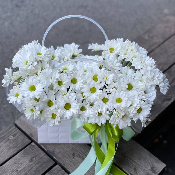 Сумка с хризантемами ромашками в Смоленске