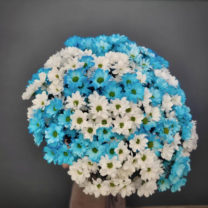  Букет хризантем микс в Смоленске