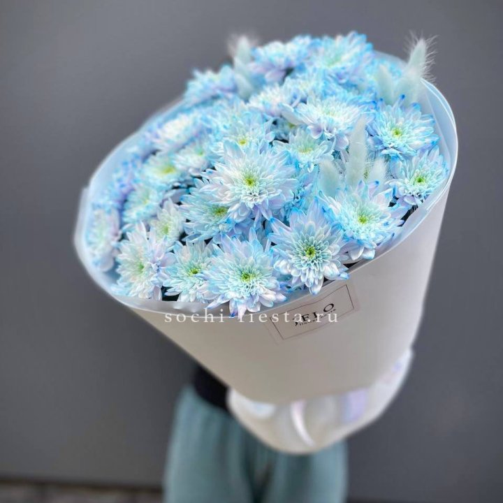  Букет нежно-голубых хризантем  в Смоленске