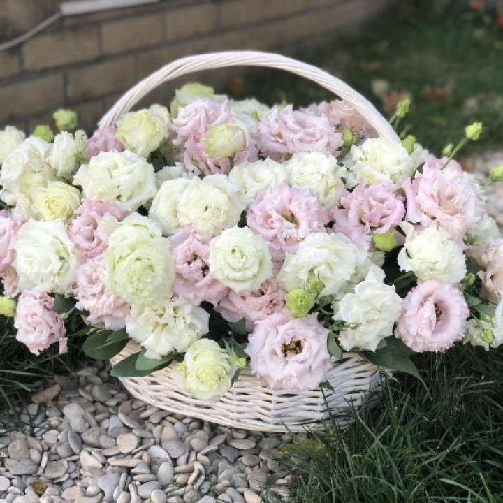 Корзина с эустомой в Смоленске