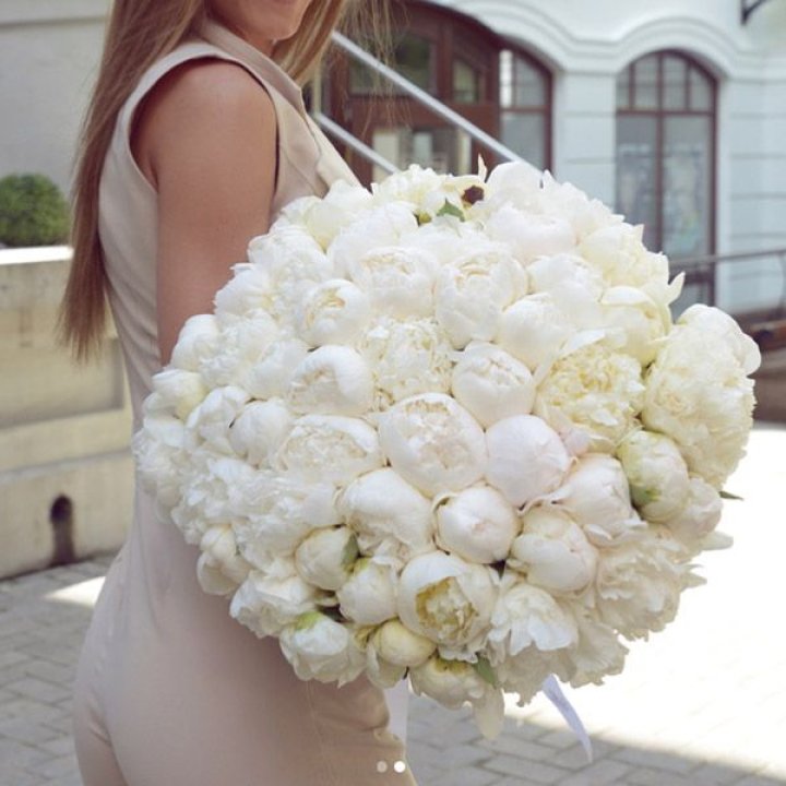 51 белый пион в Смоленске