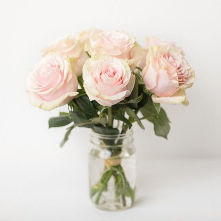 7 кремовых роз в Смоленске