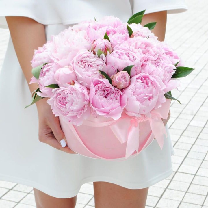 Пионы в шляпной коробке в Смоленске