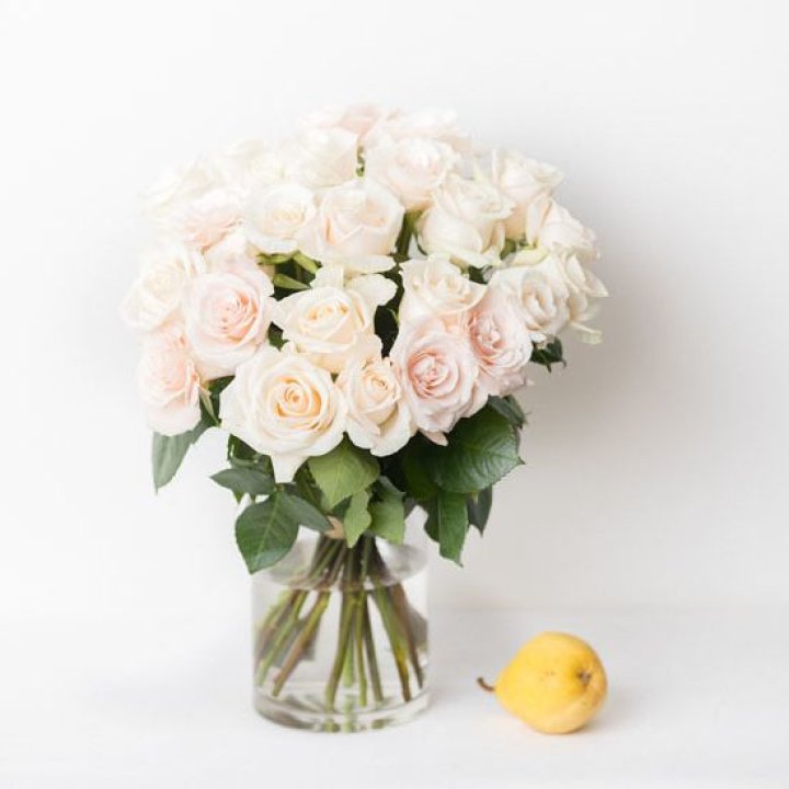 25 кремовых роз в Смоленске