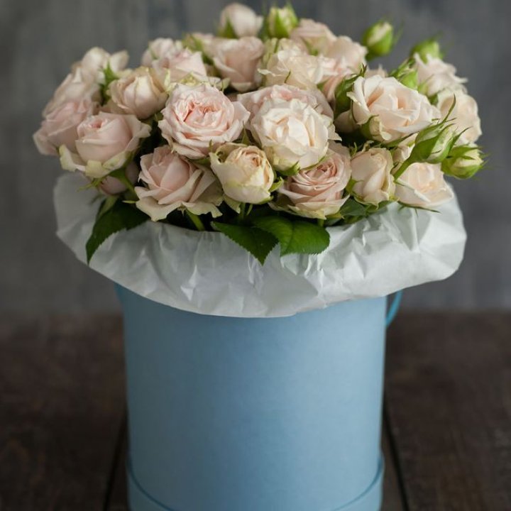 Бокс с бомбастиком в Смоленске