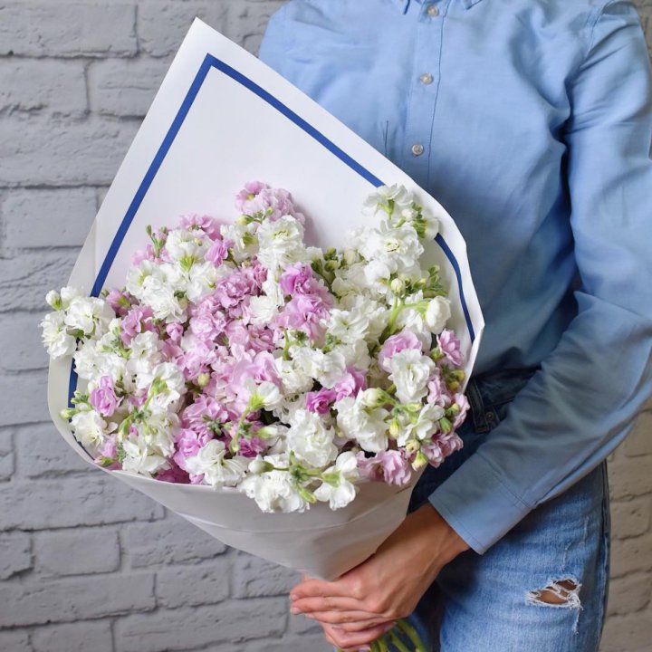 Маттиола в Смоленске