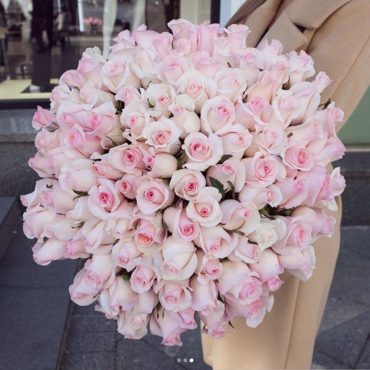 Розы "Пинк бум" в Смоленске