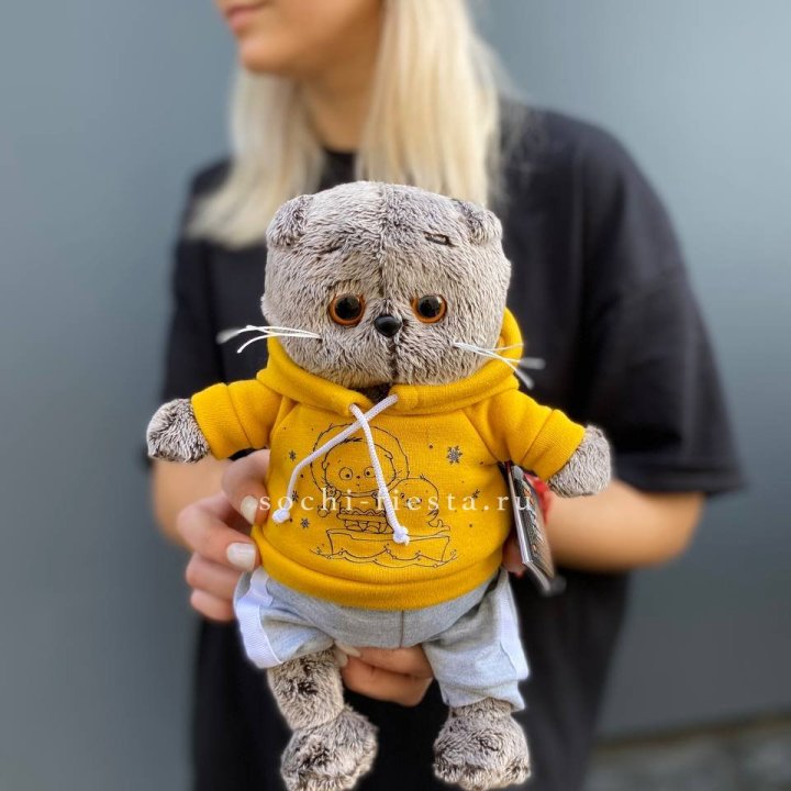 Кот Басик в худи в Смоленске