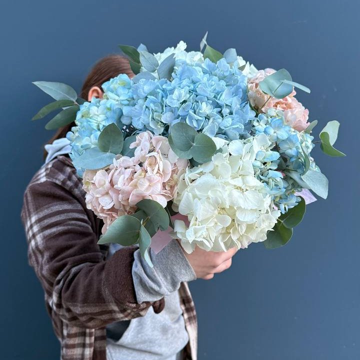 Гортензии в коробочке в Смоленске