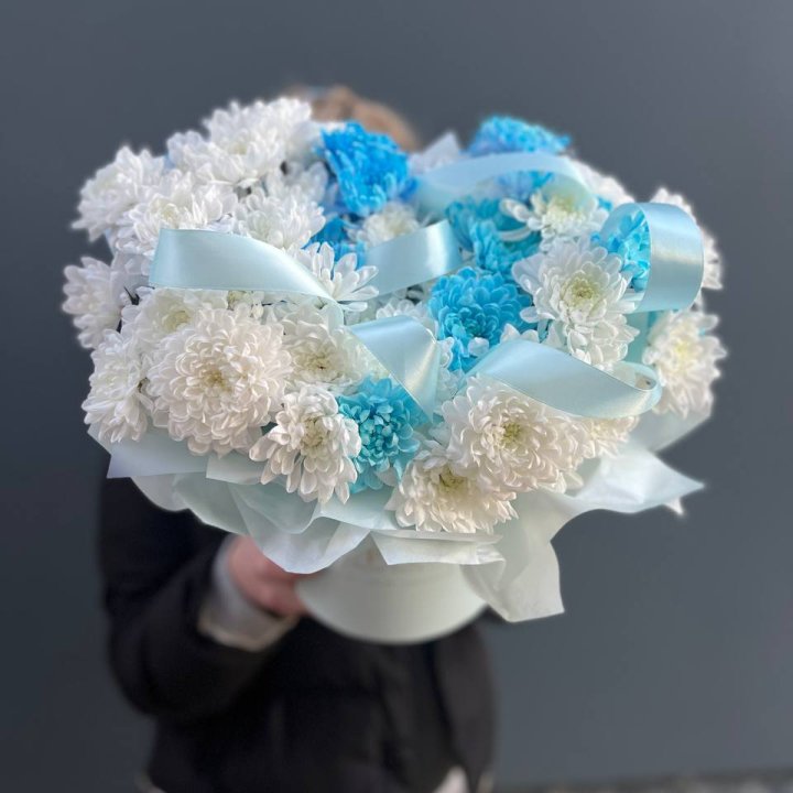 Хризнтемы в боксе в Смоленске