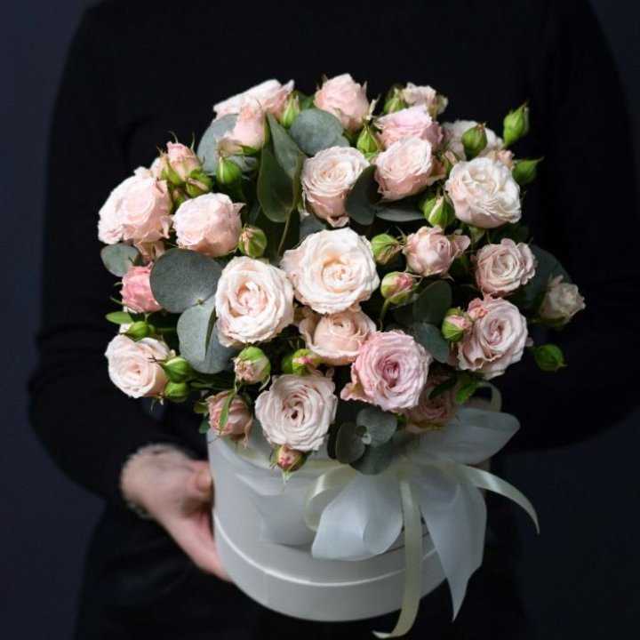 Бомбастик бокс №2 в Смоленске